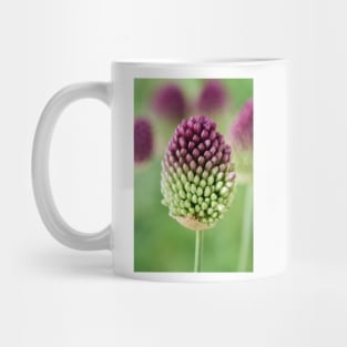 Allium sphaerocephalon AGM Round-headed garlic Round-headed leek Mug